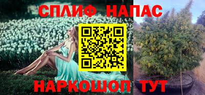 амф Новодвинск