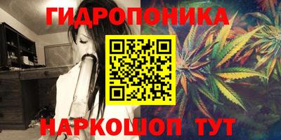 ECSTASY Новозыбков