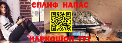 ECSTASY Новозыбков