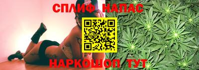 ECSTASY Новозыбков
