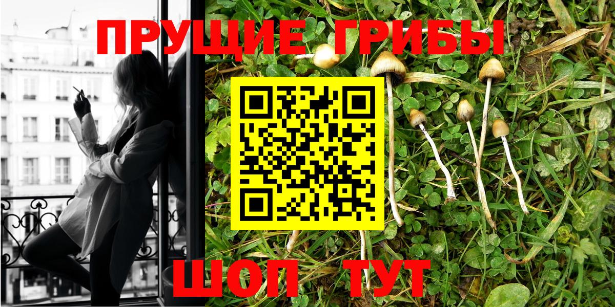 Псилоцибиновые грибы мухоморы  Вход с VPN  Пушкино 